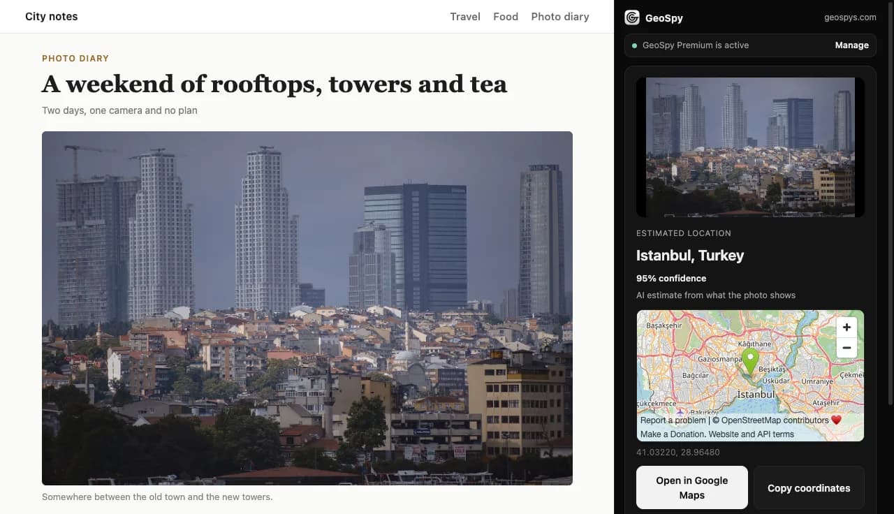 The GeoSpy side panel next to a web page, showing Istanbul, Turkey with 95% confidence and a map