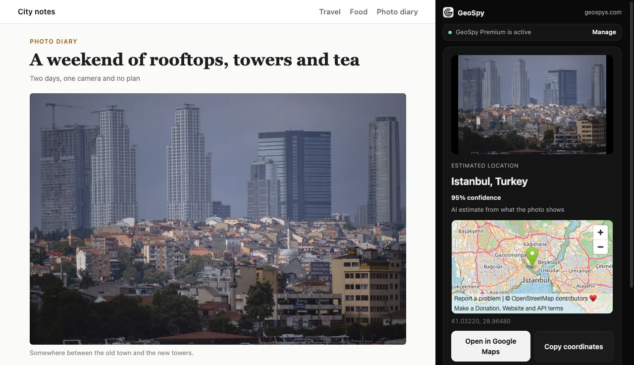 The GeoSpy side panel showing Istanbul, Turkey with 95% confidence and a map next to the page